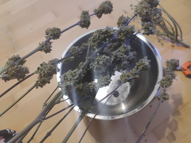 Growreport Bild 22