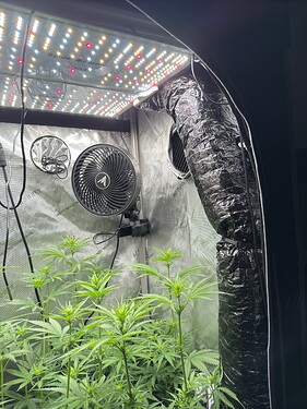 Growreport Bild 2