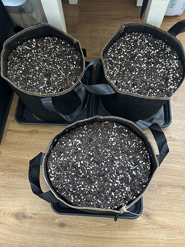 Growreport Bild 1