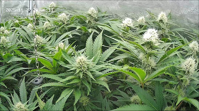 Growreport Bild 11
