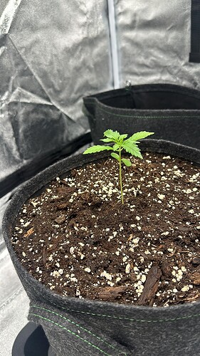 29D93EC4-6E96-4C40-A5A6-A8945643C412