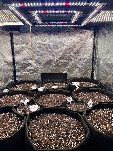 Growreport Bild 19