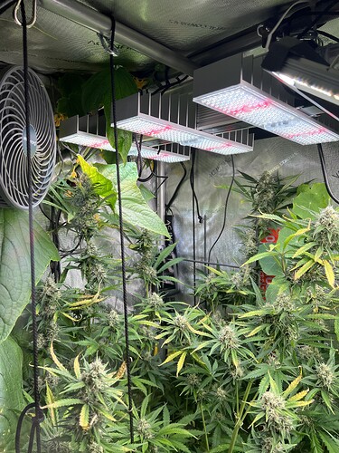 Growreport Bild 34