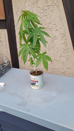 Growreport Bild 33