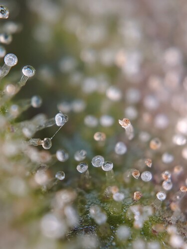 MVIMG_20251126_181943