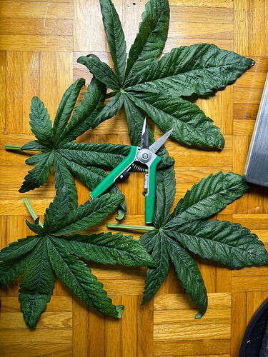 Growreport Bild 18