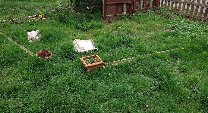 Growreport Bild 2