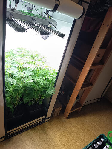 Growreport Bild 21