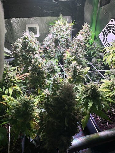 Growreport Bild 4