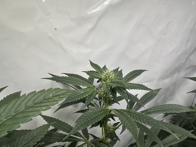 Growreport Bild 8