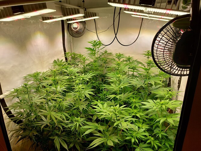 Growreport Bild 9