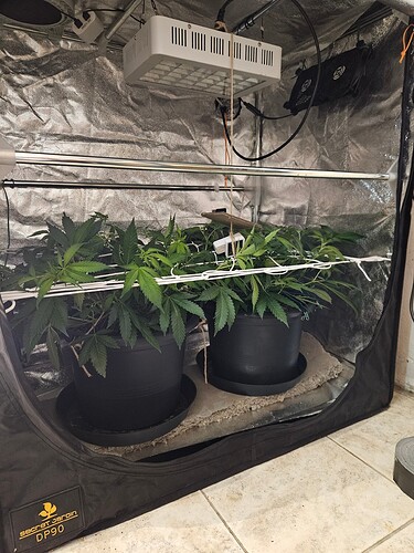 Growreport Bild 12