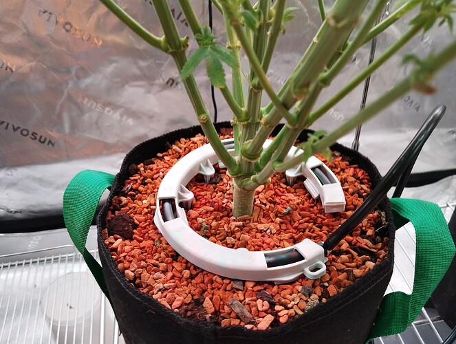 Growreport Bild 6