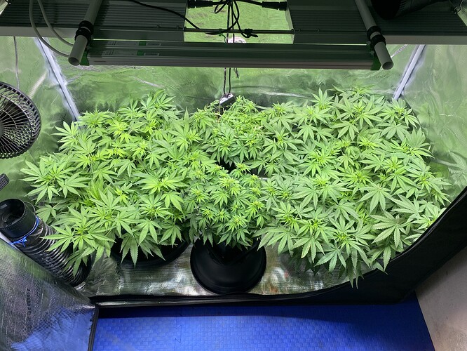 Growreport Bild 20