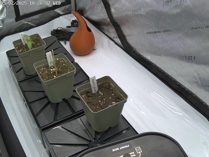 Growreport Bild 3