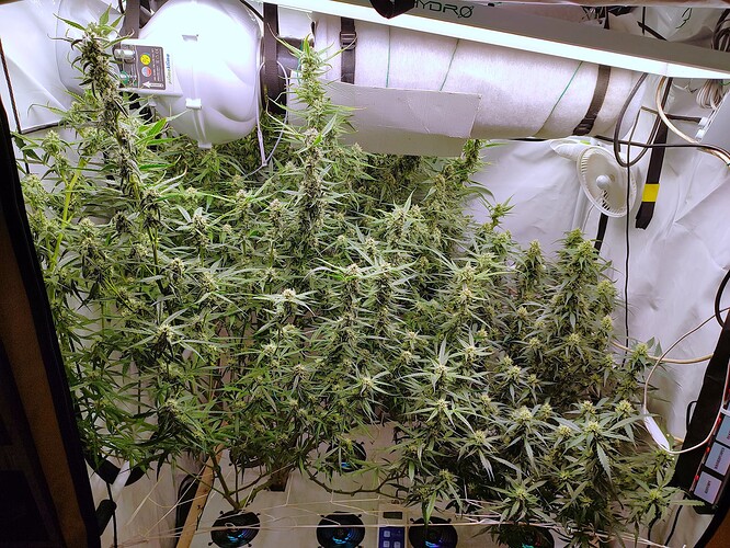 Growreport Bild 13