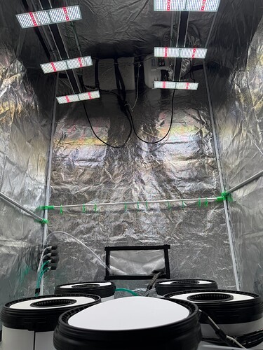 Growreport Bild 6