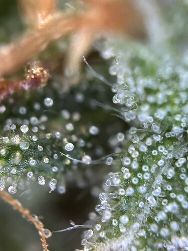Growreport Bild 11