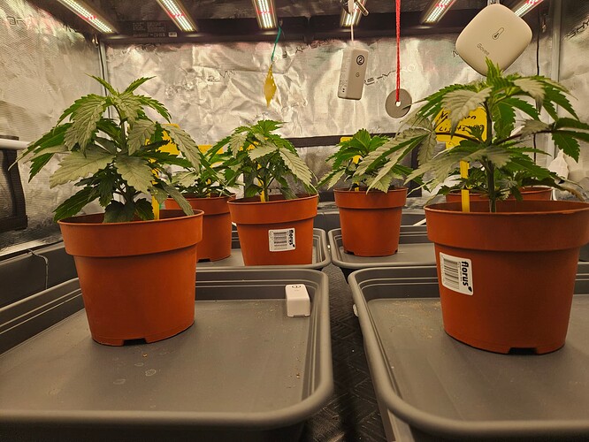 Growreport Bild 8