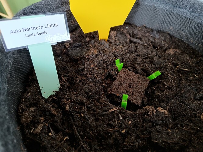 IMG_20240410_124819723_HDR