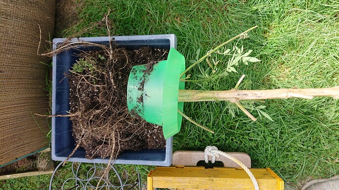Growreport Bild 4