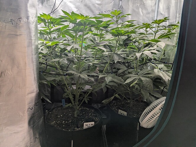 Growreport Bild 7