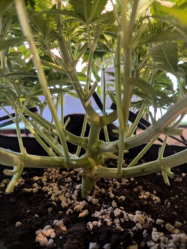 PXL_20240927_162029316