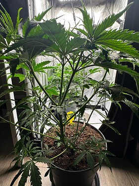 Growreport Bild 17