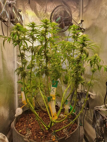 Growreport Bild 1