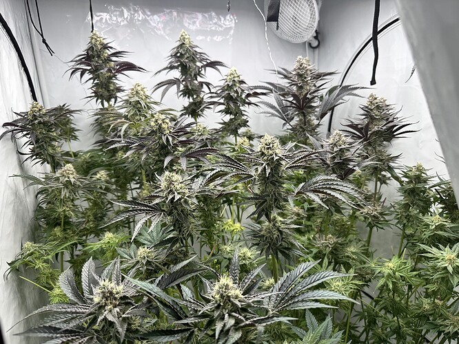 Growreport Bild 10