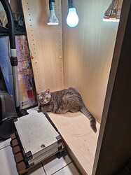 WhatsApp Image 2024-05-24 at 16.08.19 (1)