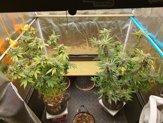 Growreport Bild 6