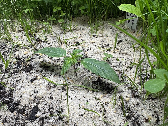 Growreport Bild 21