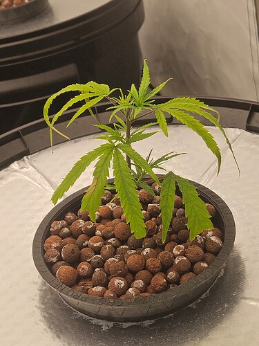 Growreport Bild 2
