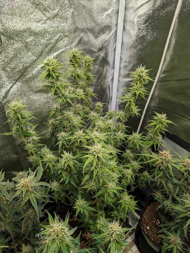 Growreport Bild 11