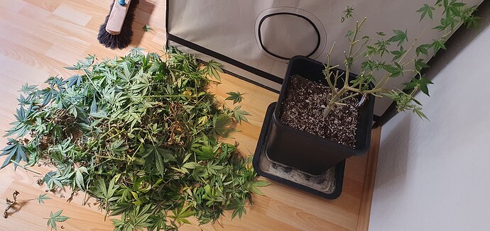 Growreport Bild 2