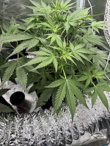Growreport Bild 11