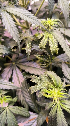Growreport Bild 24