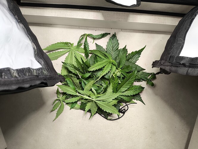 Growreport Bild 22