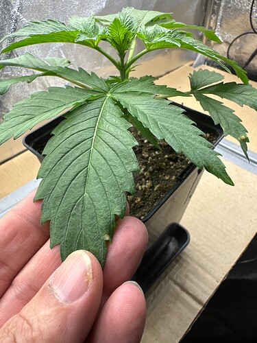 Growreport Bild 9