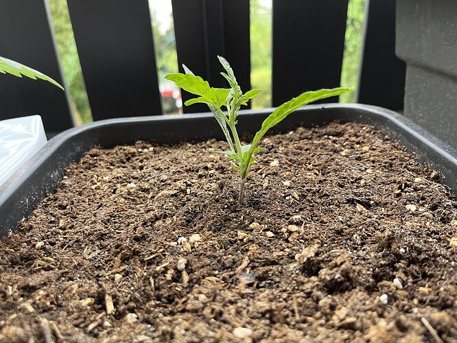 Growreport Bild 11