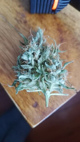 Growreport Bild 14