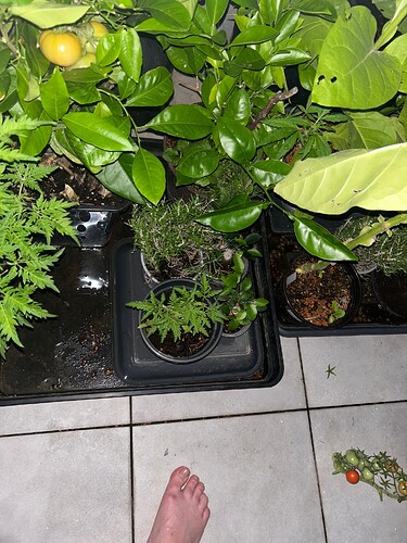 Growreport Bild 33