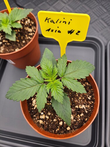 Growreport Bild 15