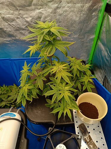Growreport Bild 2