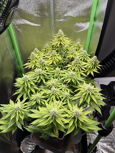 Growreport Bild 16