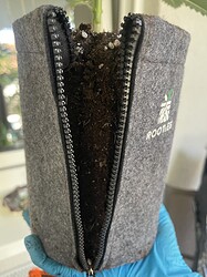 Growreport Bild 2