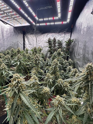 Growreport Bild 13