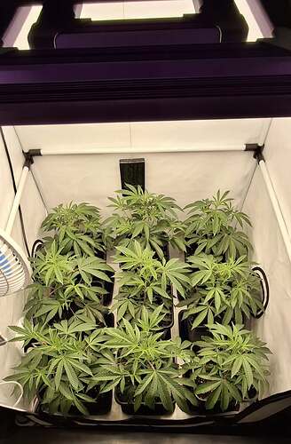 Growreport Bild 22