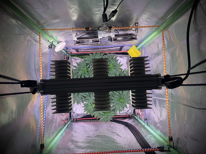 Growreport Bild 6